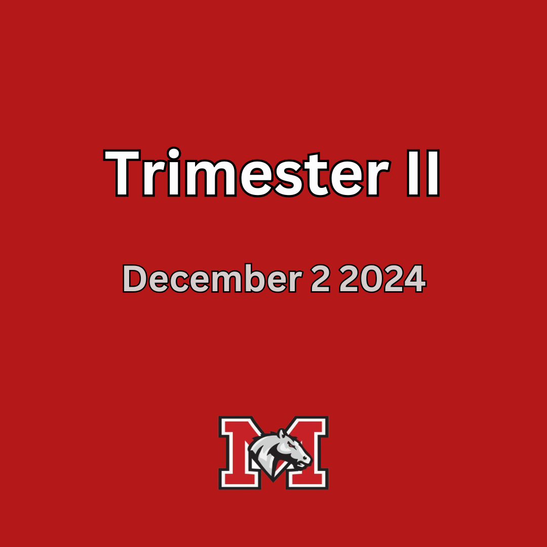  Trimester II